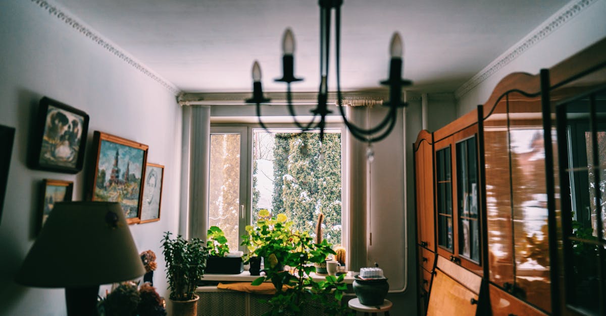 Wnętrze polskiego domu rodzinnego — codzienne otoczenie